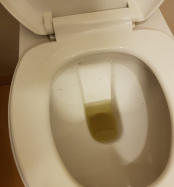 Hi 5 Hotel & Experience主图