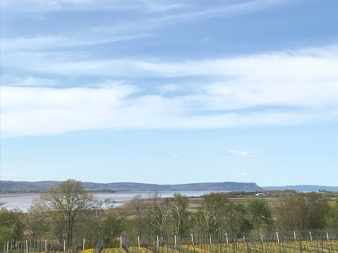 Alternative Routes-哈利法克斯必去景点