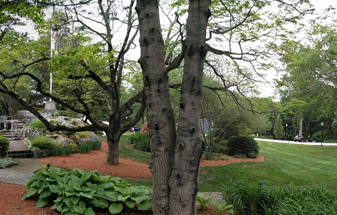 The Spa at Norwich Inn主图