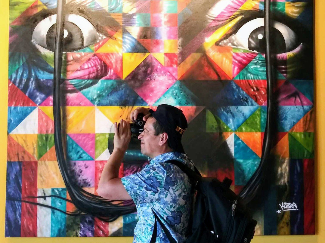 温伍德墙-迈阿密必去景点