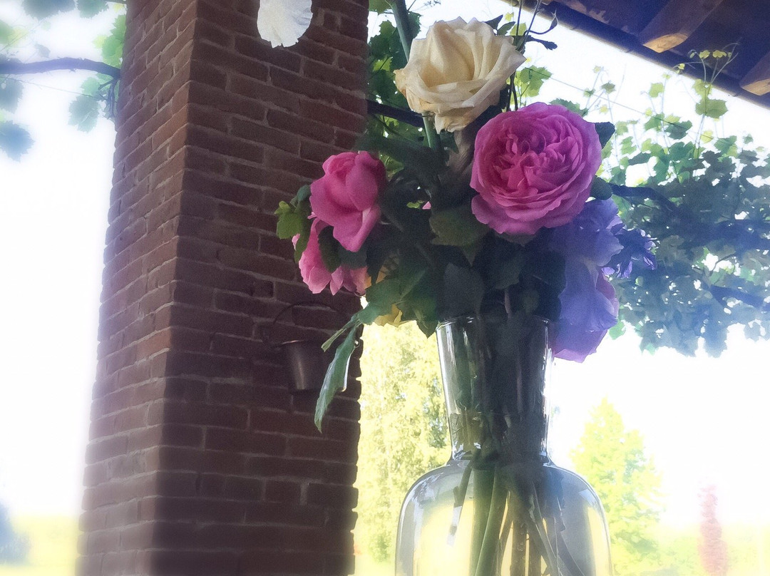 Seguendo l'Oca主图