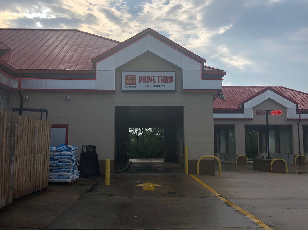 Lion's Choice - Troy