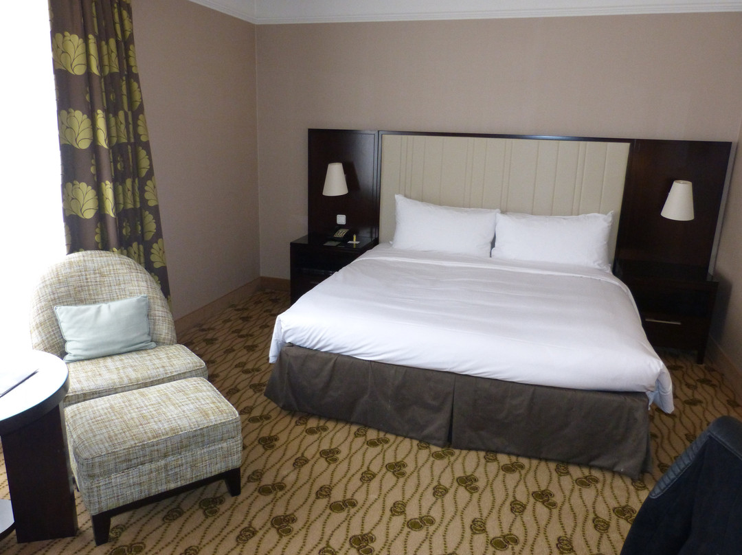 布鲁塞尔万丽酒店主图