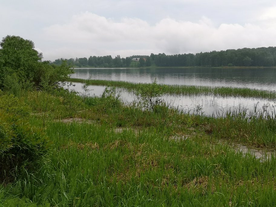 Bologoye Lake景点图片