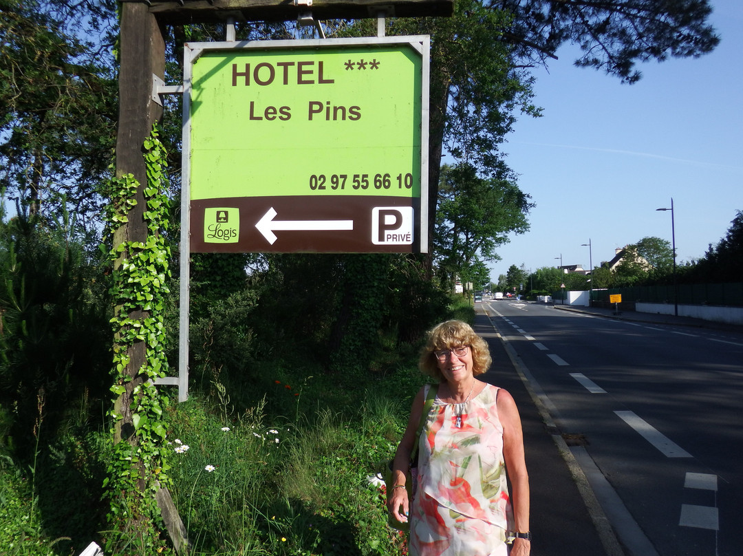Hotel Les Pins主图