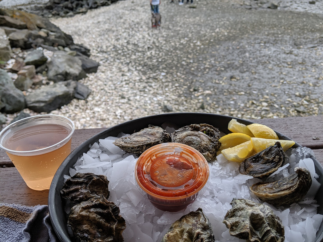 Taylor Shellfish Farms-Bow必去景点