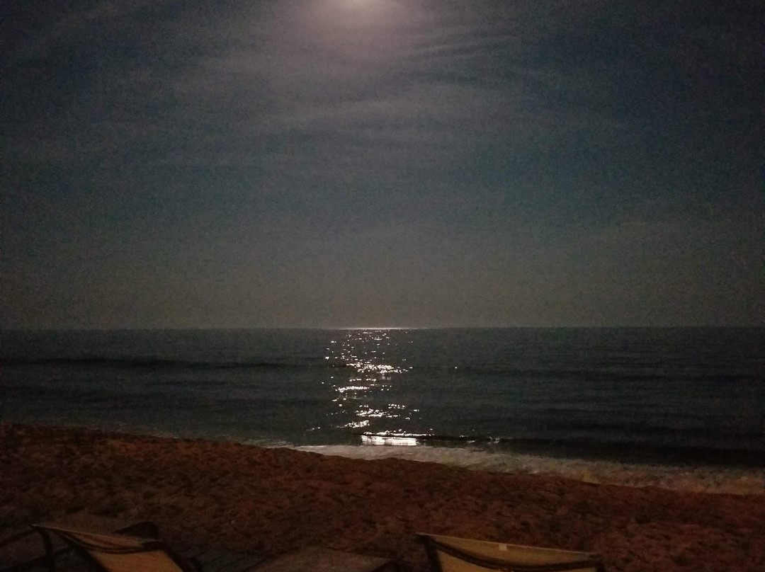 Sandy Shore Motel主图