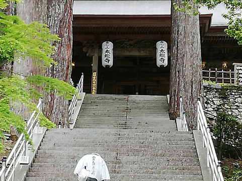 Tairyu-ji Temple Shashindake-阿南市必去景点