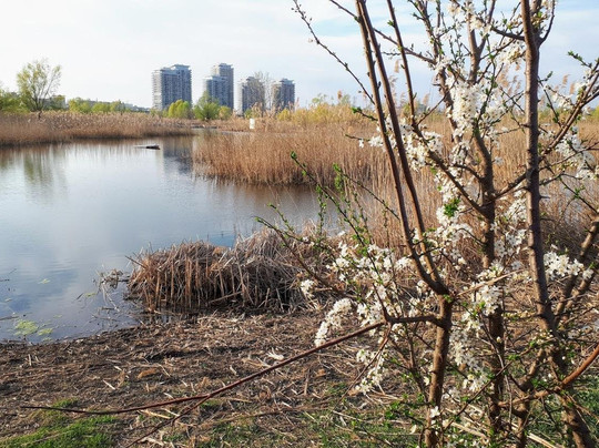 Alternative Tours & Events-布加勒斯特必去景点