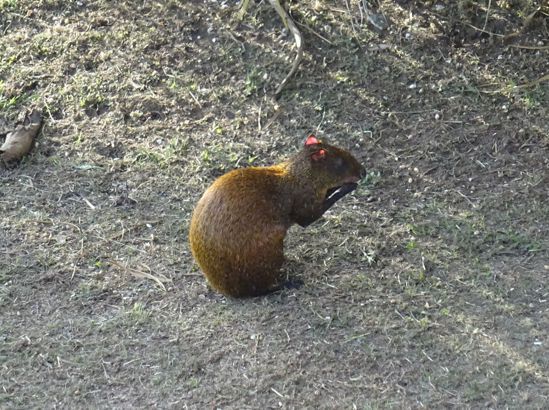 El Establo Mountain Hotel主图