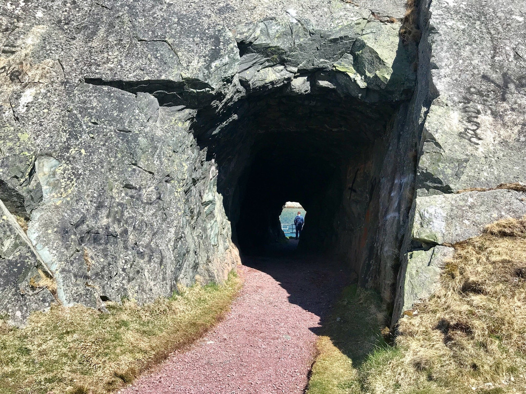 The Brigus Tunnel景点图片