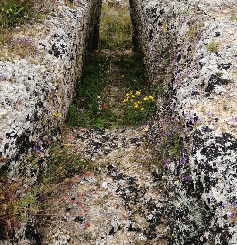 Mazarakata Mycenaean Cemetery景点图片