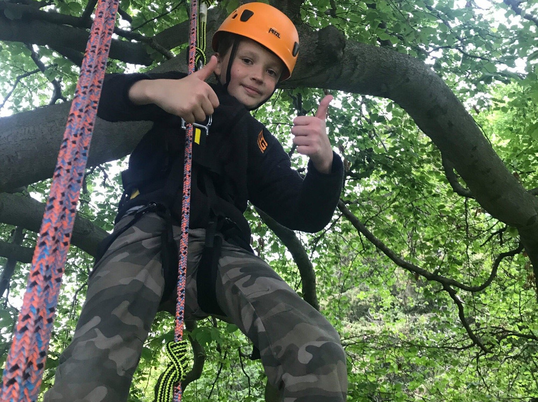 Wild Tree Adventures-斯特灵必去景点