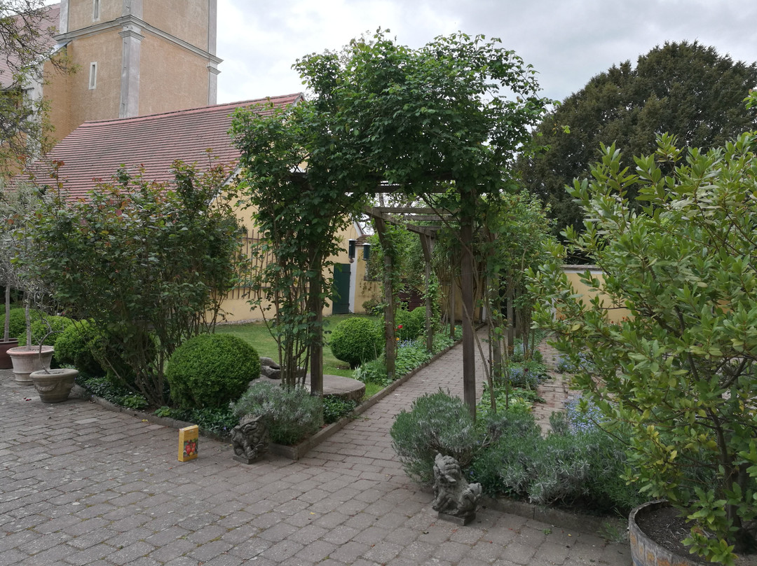 Weingut Schloss Gobelsburg景点图片
