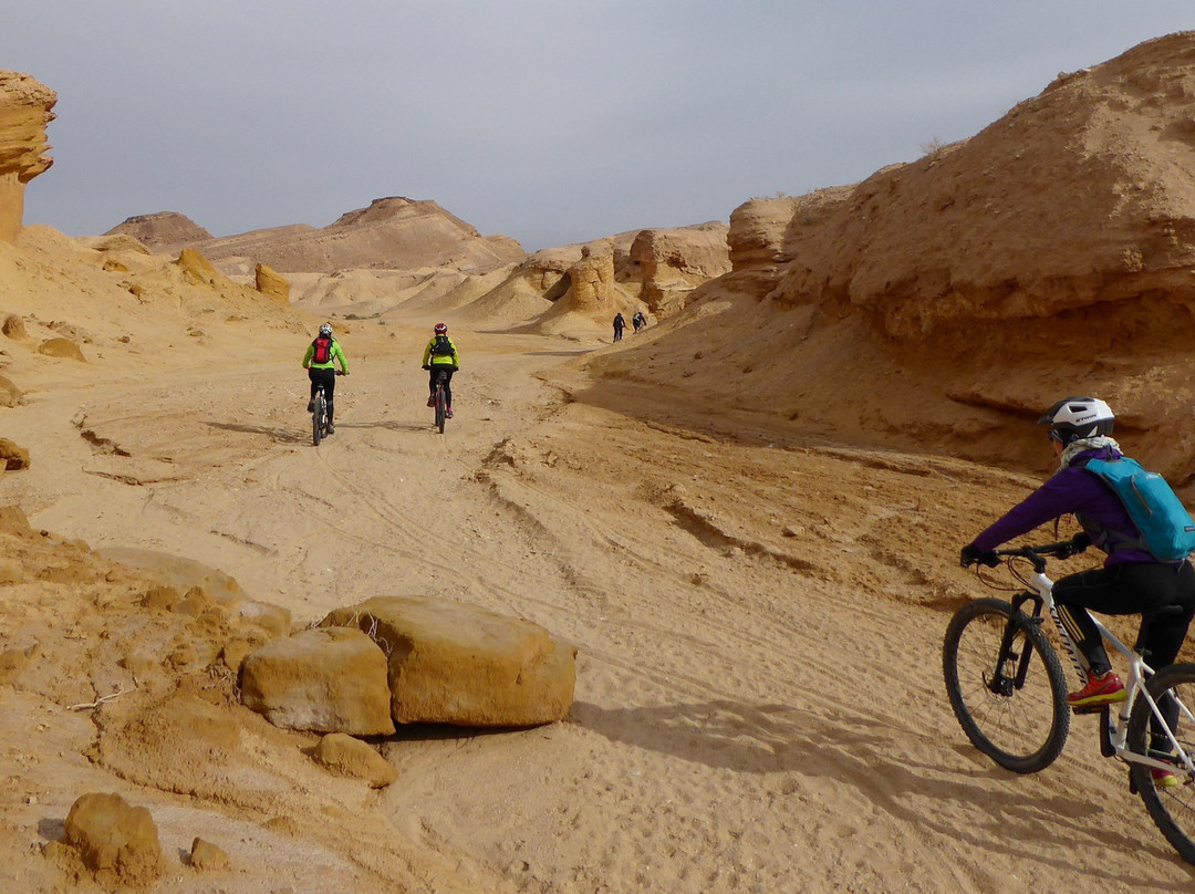 Desert Soul景点图片