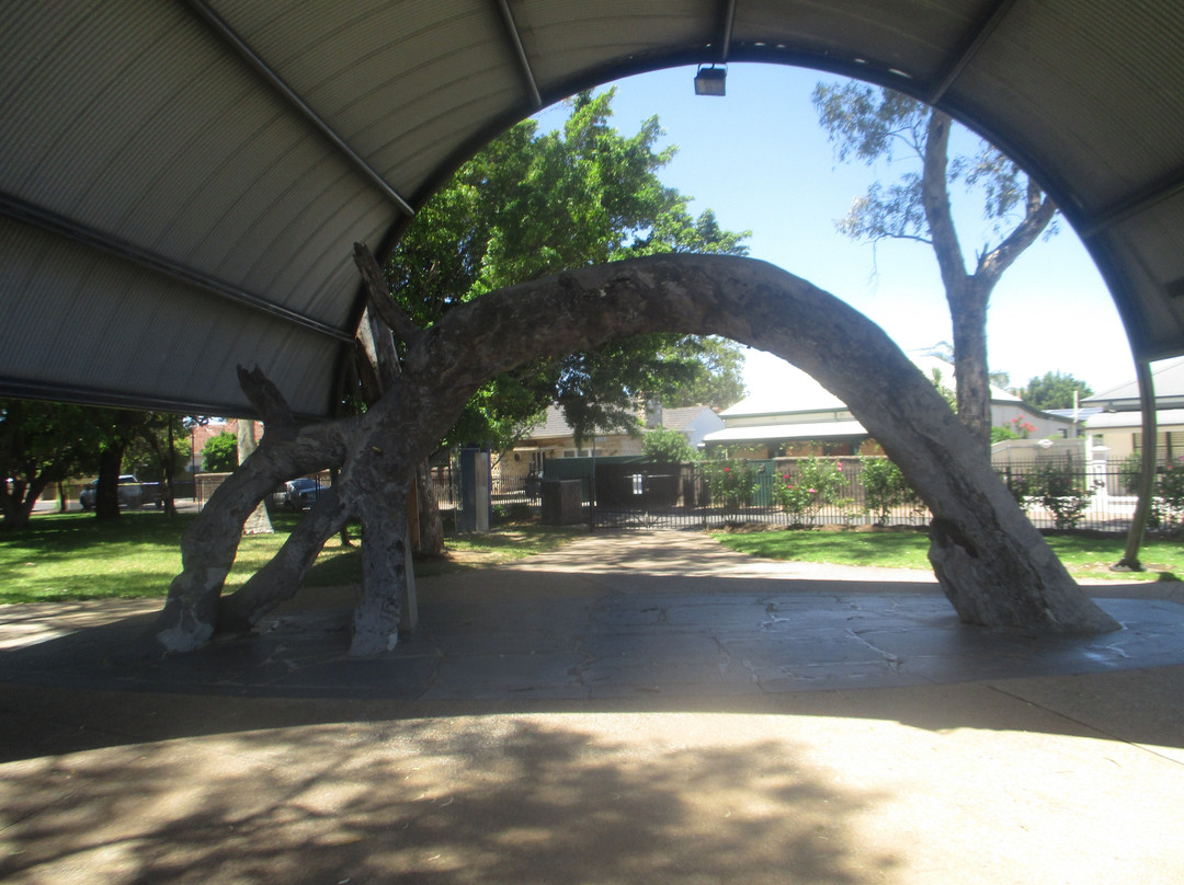 Old Gum Tree Reserve景点图片