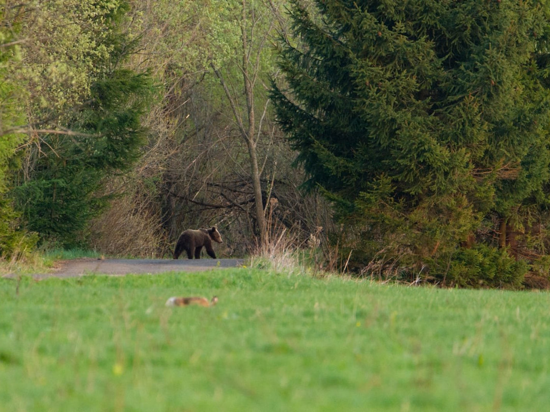Slovak Wildlife Society-Liptovsky Hradok必去景点