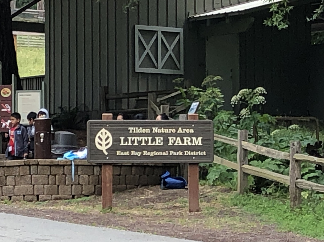 Tilden Park Little Farm-伯克利必去景点