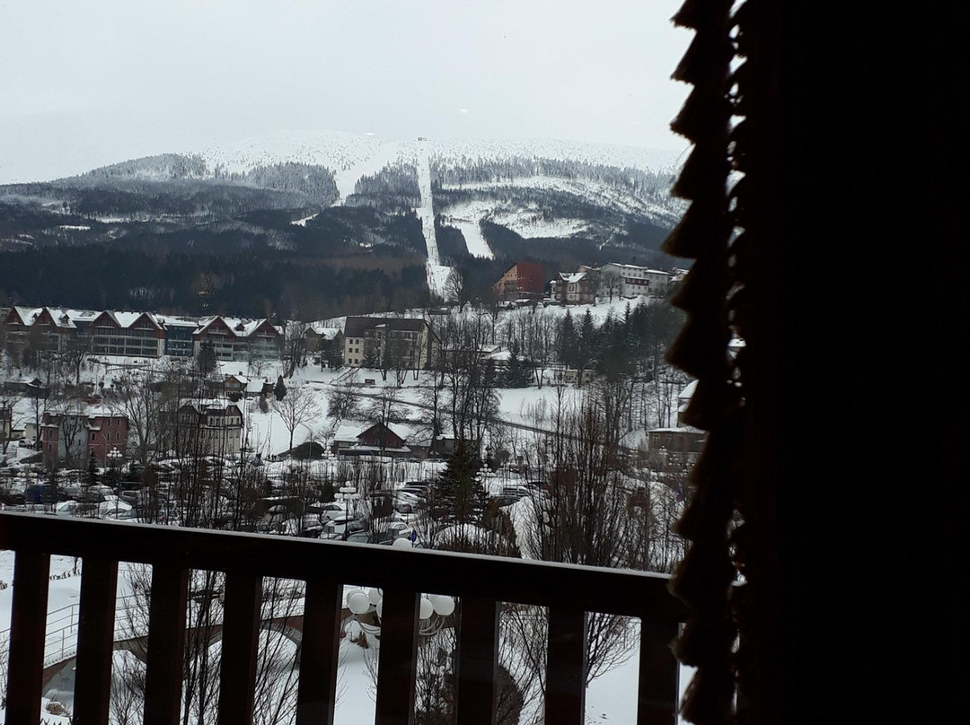 Hotel Golebiewski主图