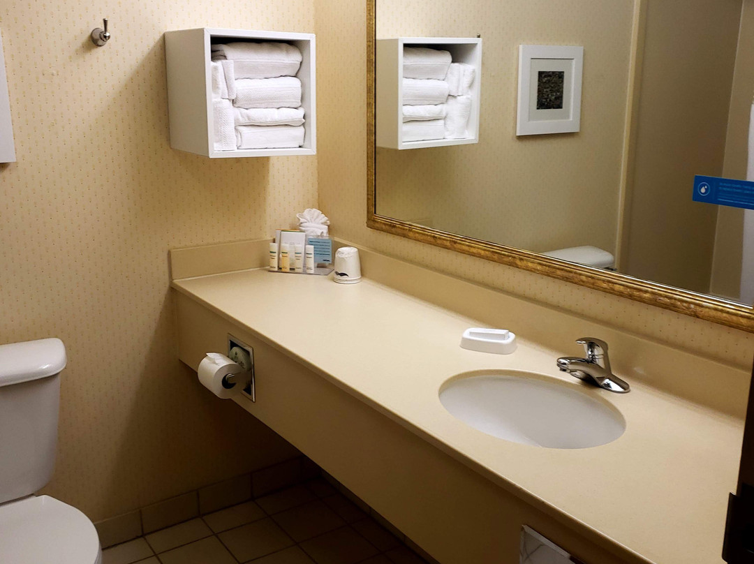 芒特霍利/西安普敦希尔顿花园旅馆主图