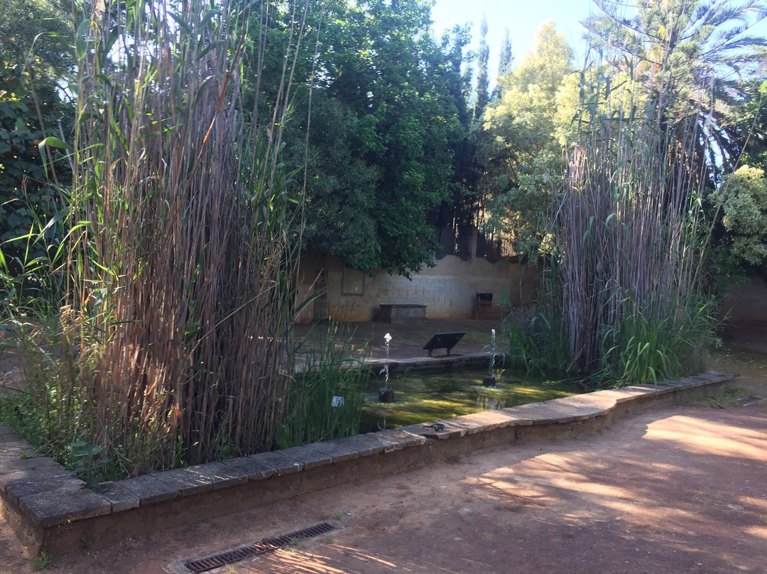 Botanical Garden San Fernando-圣费尔南多必去景点