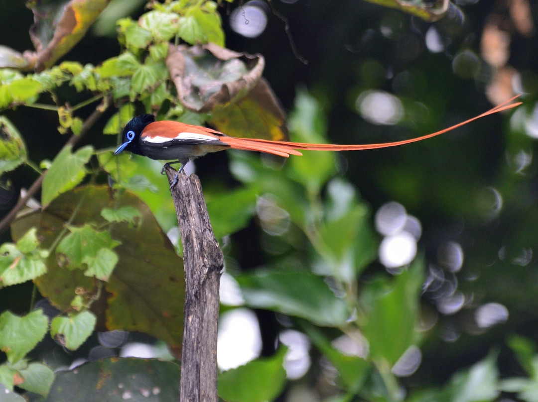 Onsea House & Machweo Retreat主图