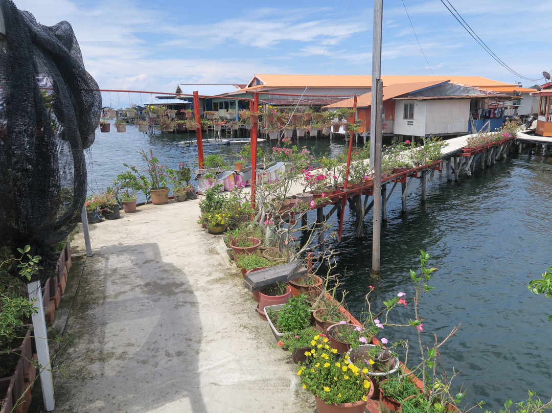 Patau-patau Water Village景点图片