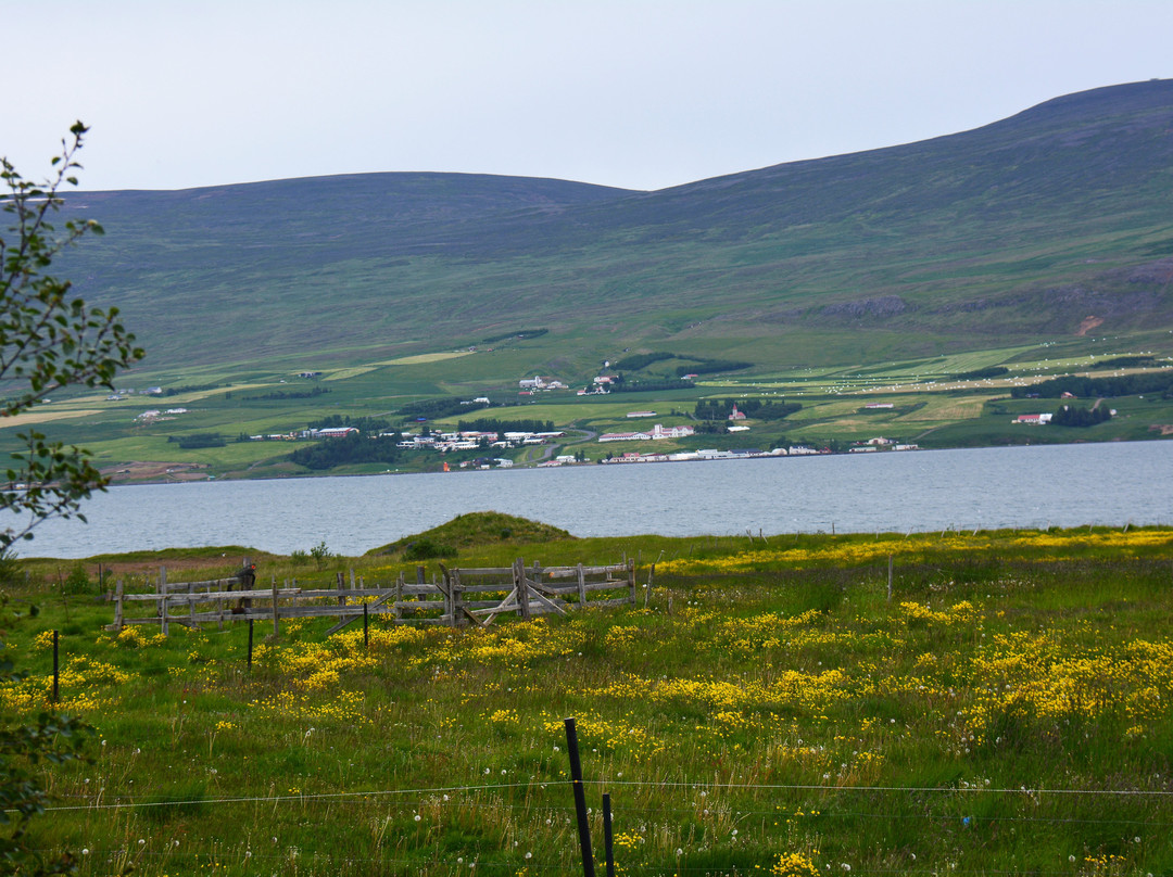 Guesthouse Petursborg主图