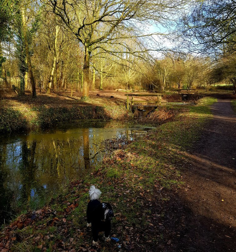 Market Bosworth Country Park景点图片