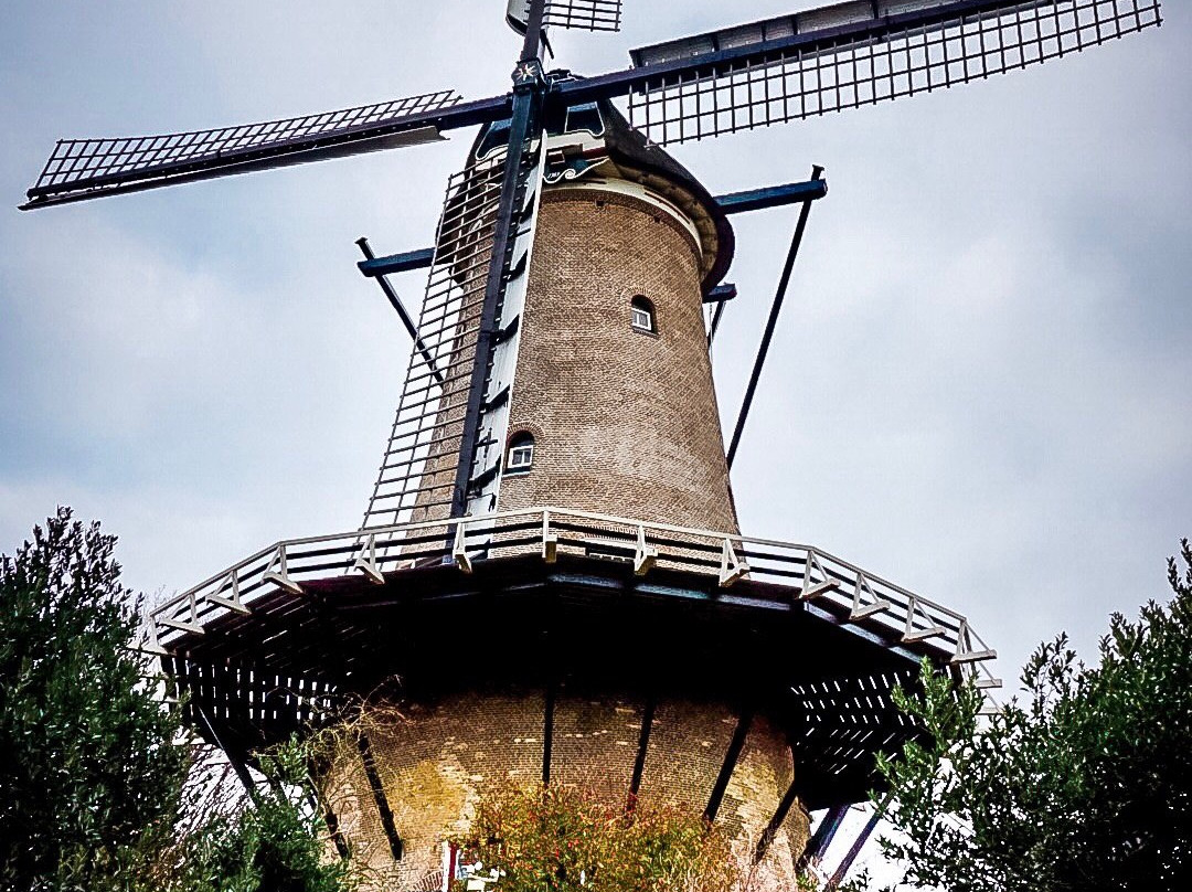 Molen van Groot (Piet)景点图片