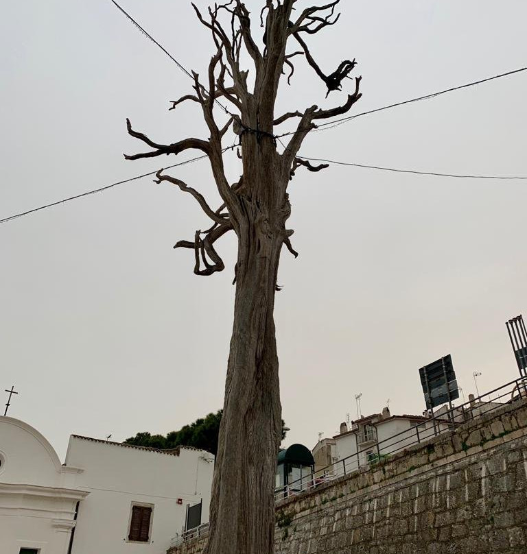 Carpino旅游攻略图片