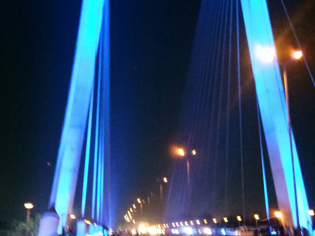 Old Naini Bridge-阿拉哈巴德必去景点