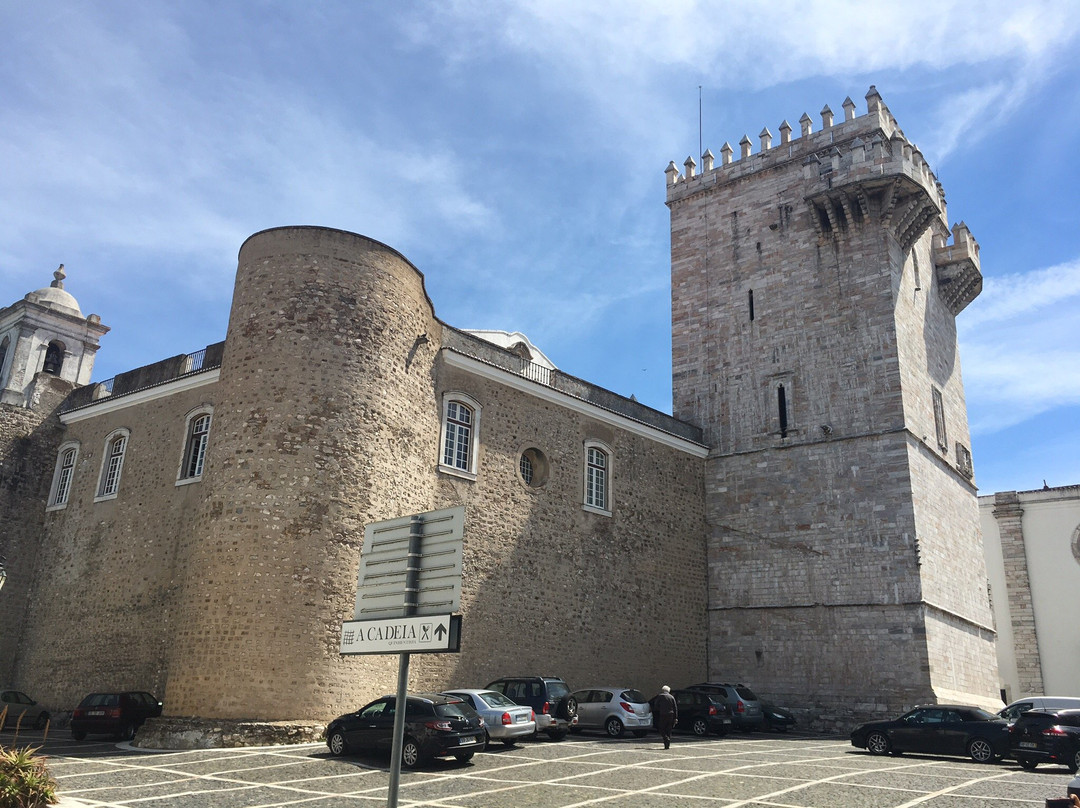 Castelo da Rainha Santa Isabel景点图片