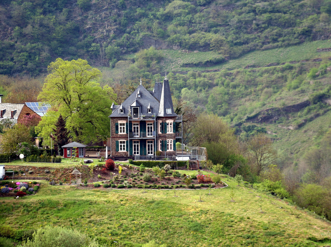 Collis Turm-Zell (Mosel)必去景点
