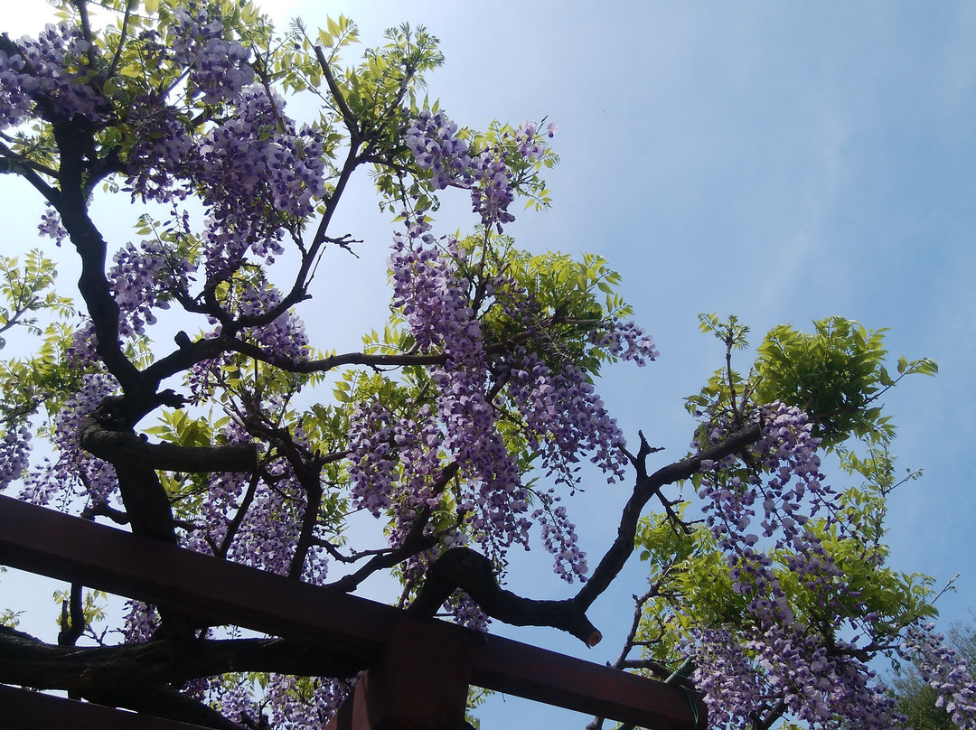 Kabukibunka Park景点图片