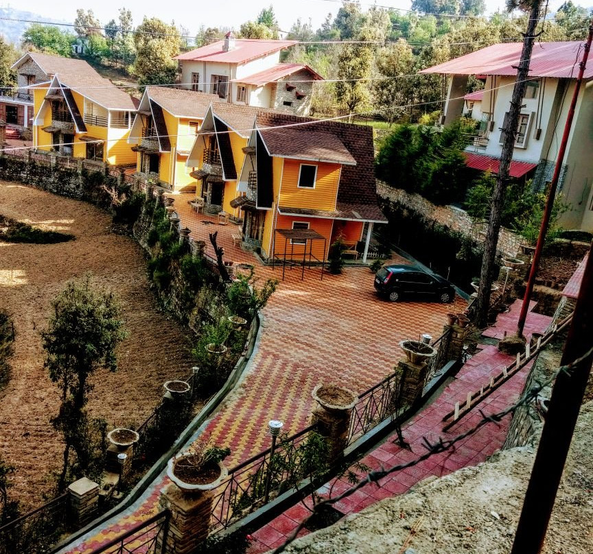 The Nature Walk主图