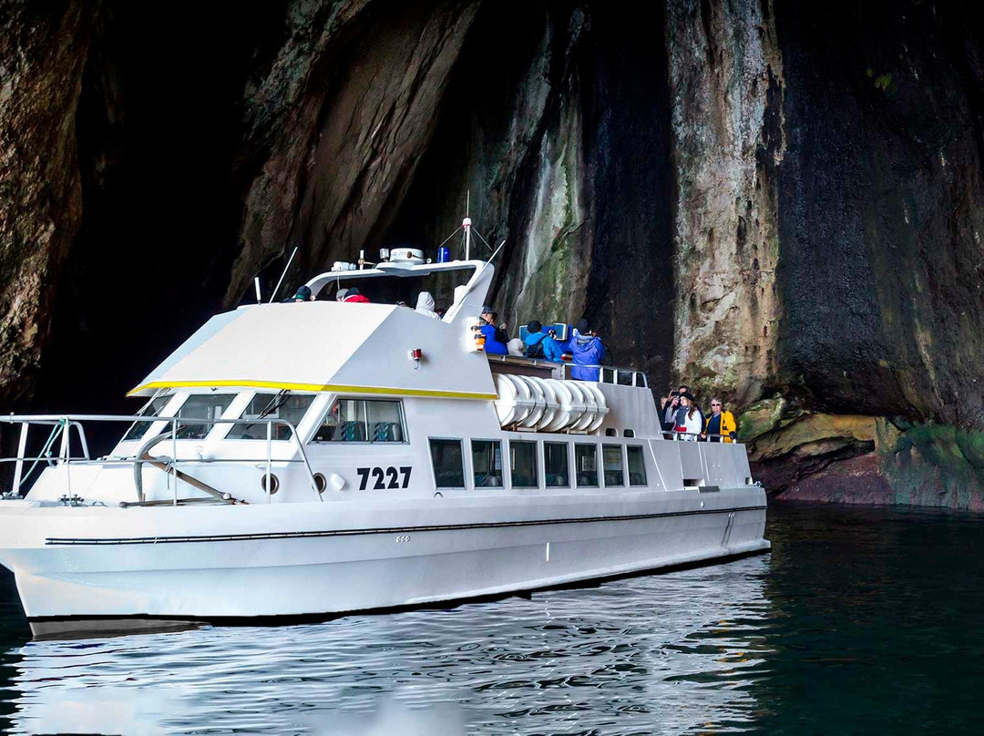 Boat Tours in Vestmannaeyjar-韦斯特曼纳群岛必去景点