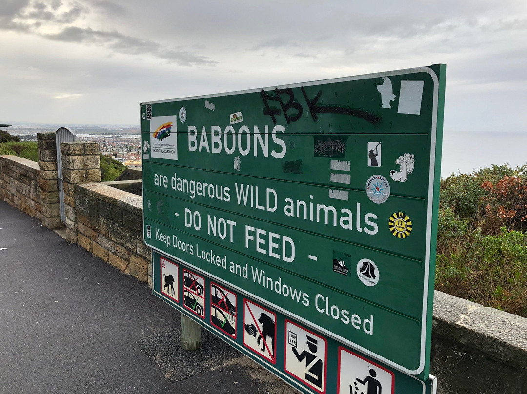 PG Tops Travel and Tours - Day Tours-开普敦中心区必去景点