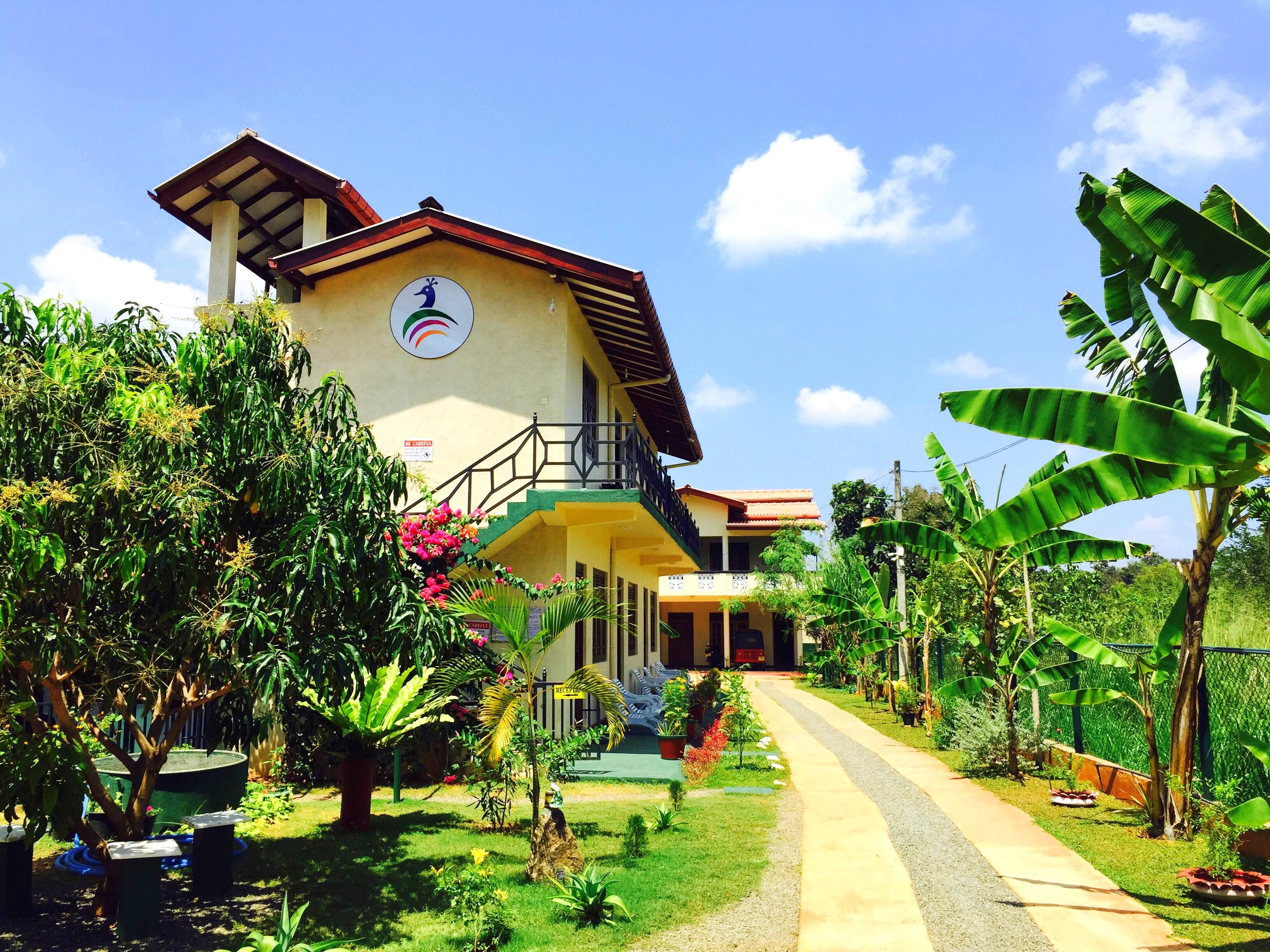 New Peacock Resort-官方