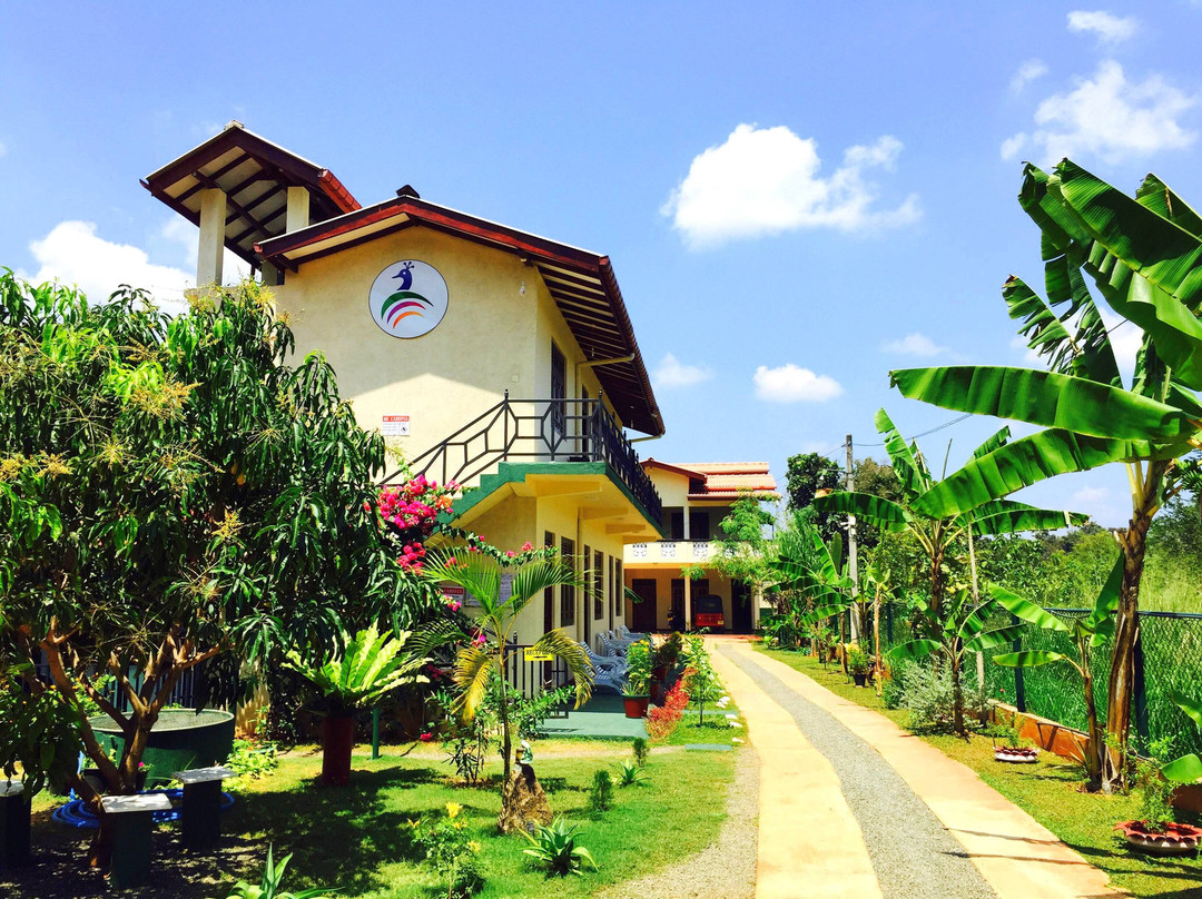 New Peacock Resort主图