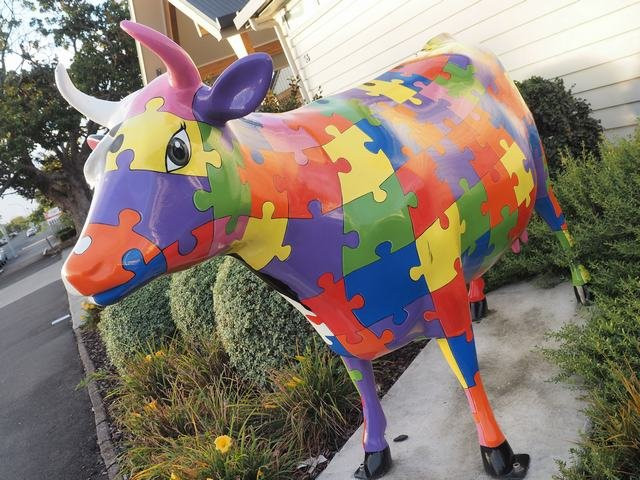 Morrinsville Mega Cow景点图片