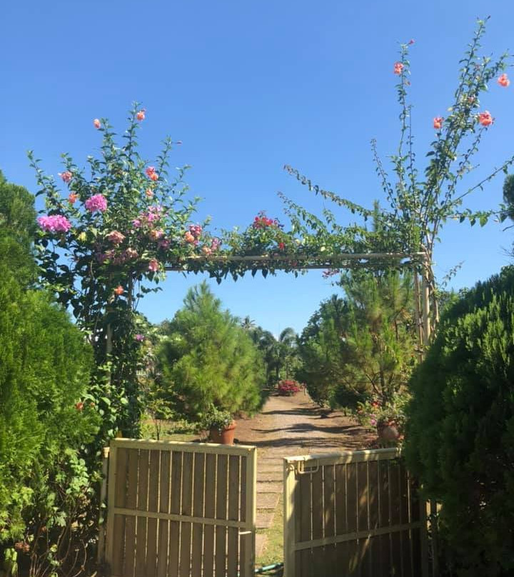 Sonrisa Farm景点图片