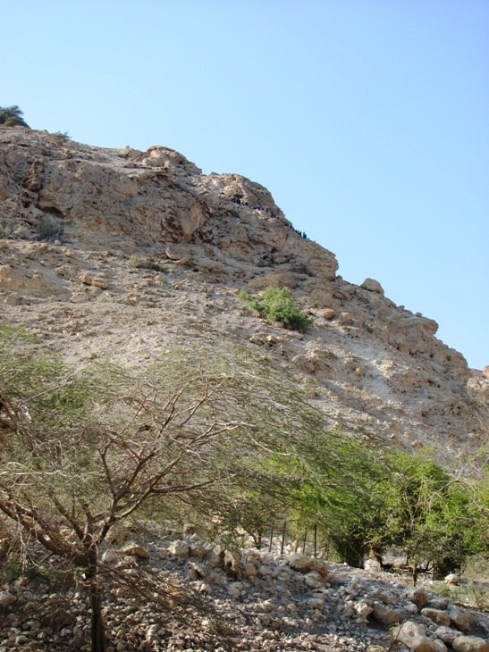 En Gedi Nature Reserve-死海地区必去景点