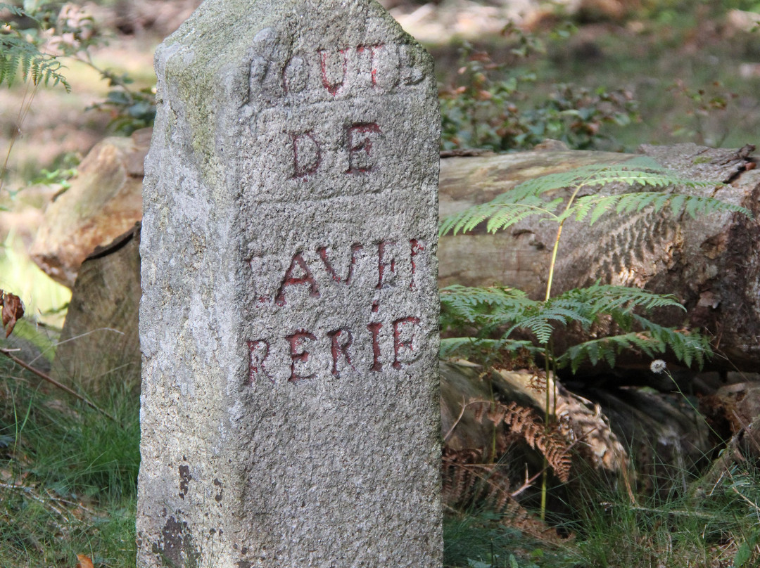 玻璃器皿的加斯特酒店主图