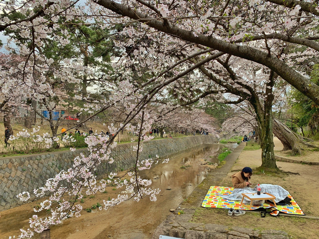 Ashiyagawa Kahan-芦屋市必去景点