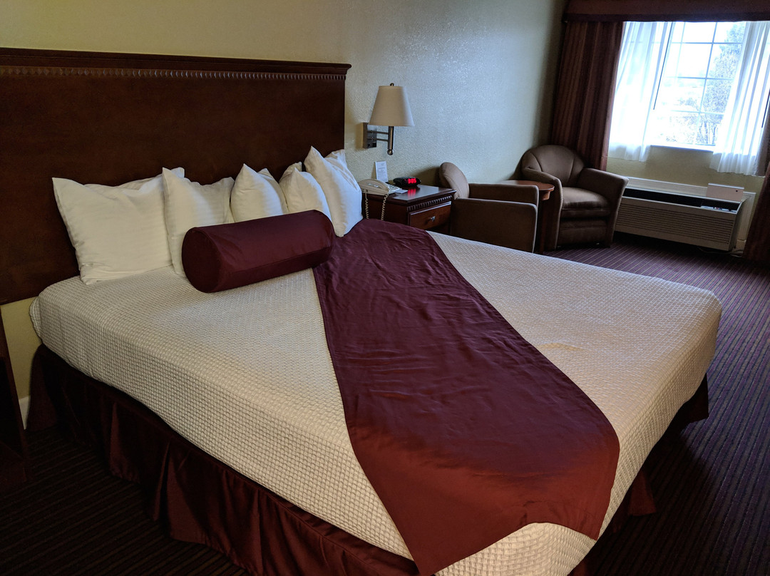 Best Western Willits Inn主图