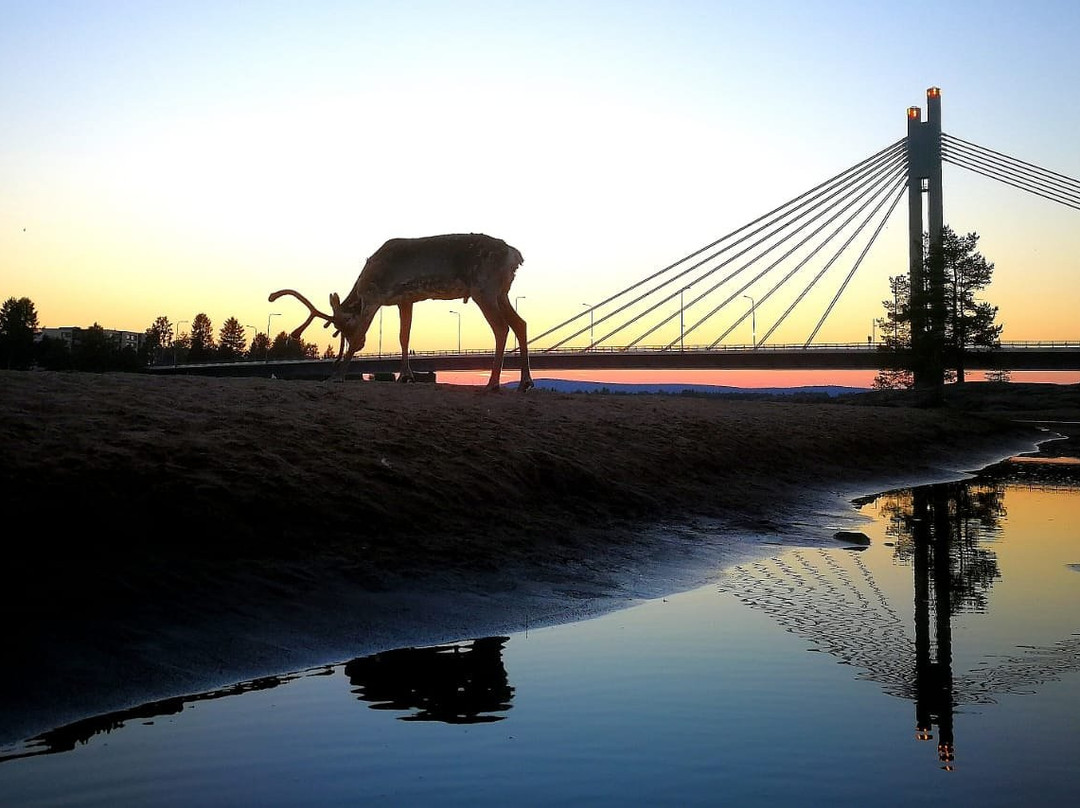 FinnCredible-罗瓦涅米必去景点