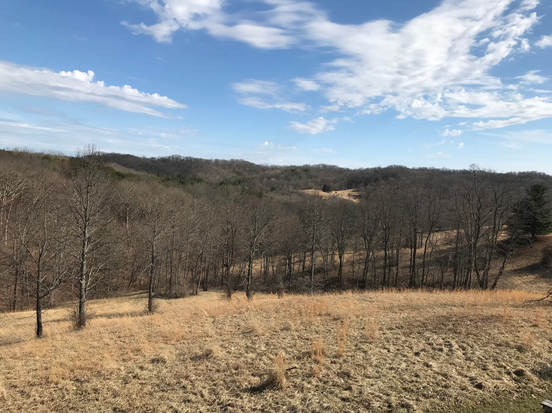 Desiree's Spa and Massage-Harlingen必去景点