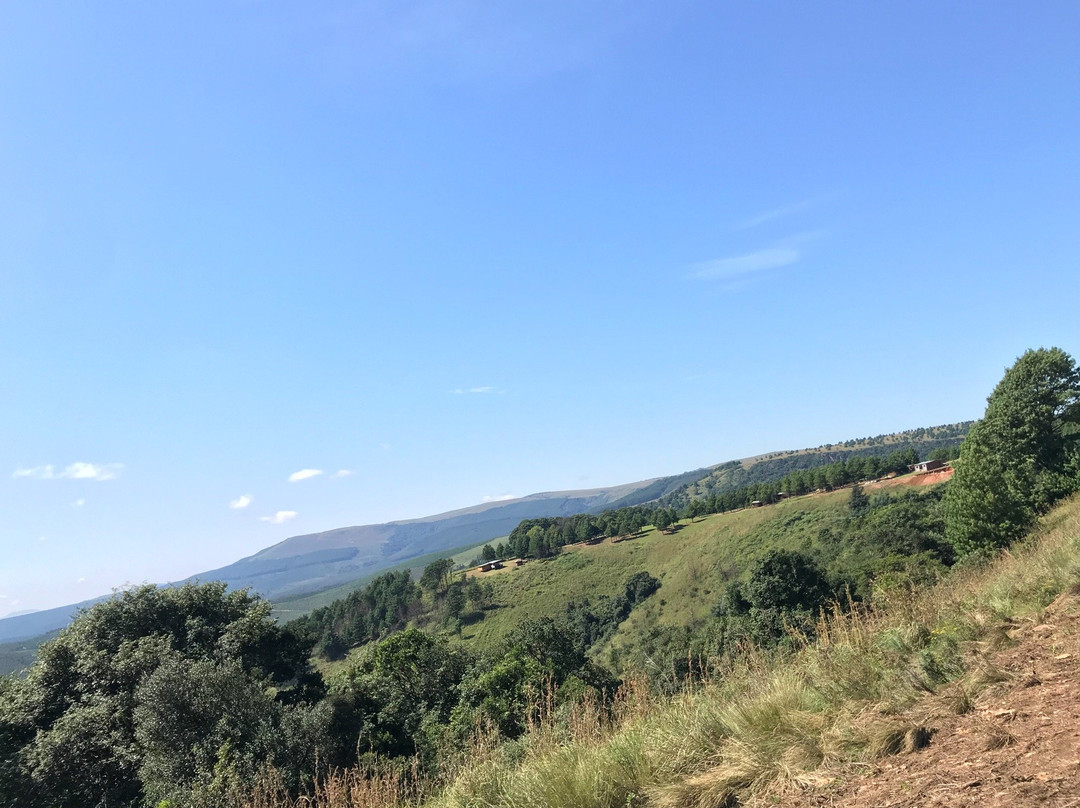 Dargle Forest Lodge