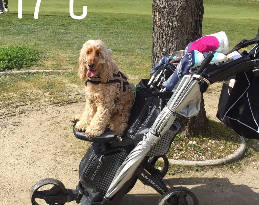 Golf du Cognac景点图片